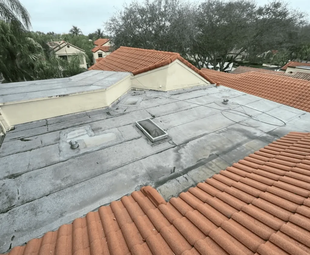 Benefits of Professional Roof Cleaning