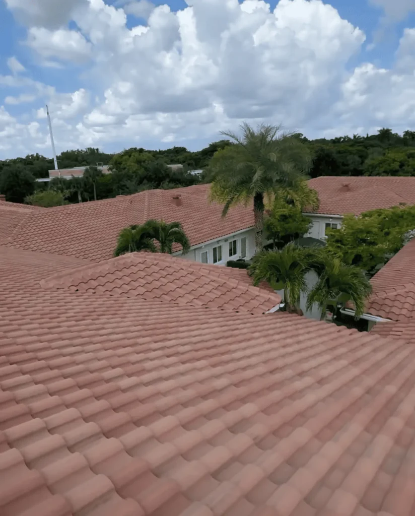 DIY Roof Cleaning Challenges