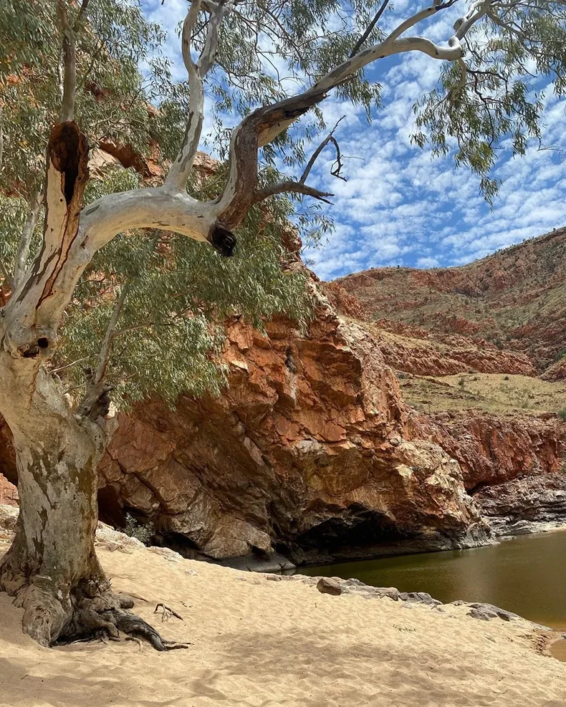 Ormiston Gorge