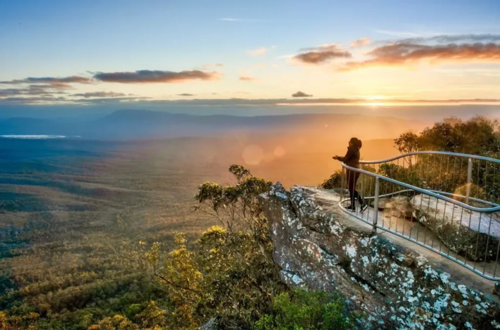 Reed Lookout