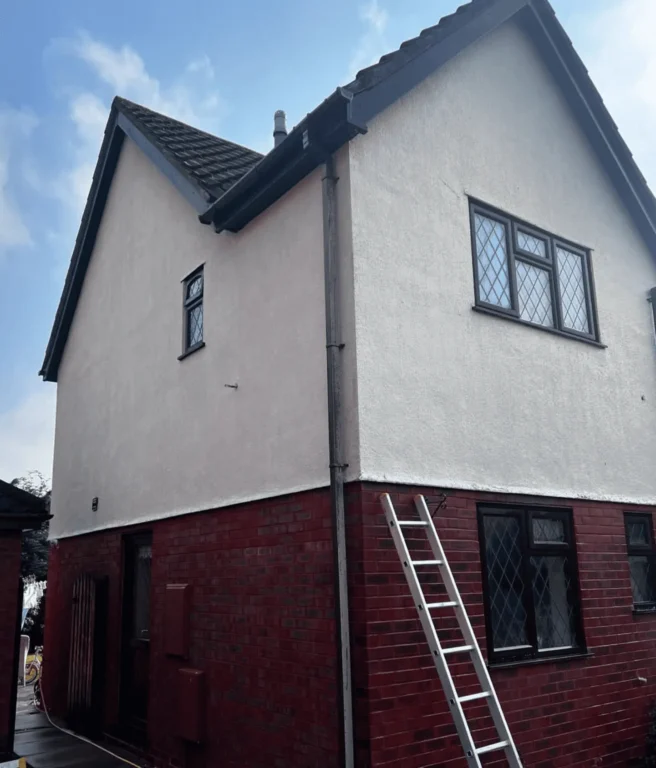 Winter Render Cleaning