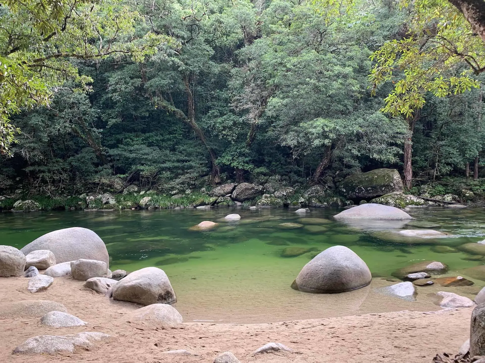 Finance Today Info|Discover Mossman Gorge: A Guide to the Pristine Swimming Hole Adventure