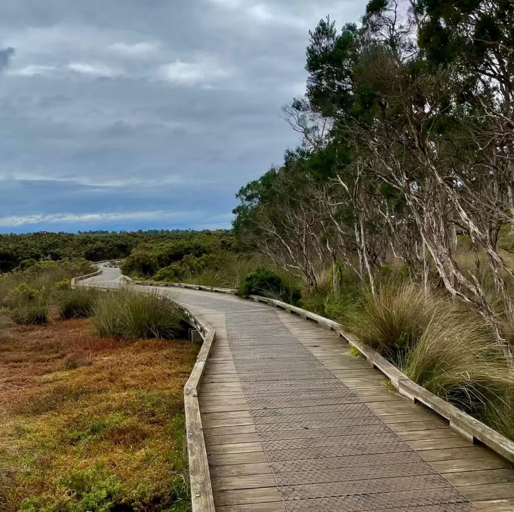 walking tracks, Oswin Roberts Reserve